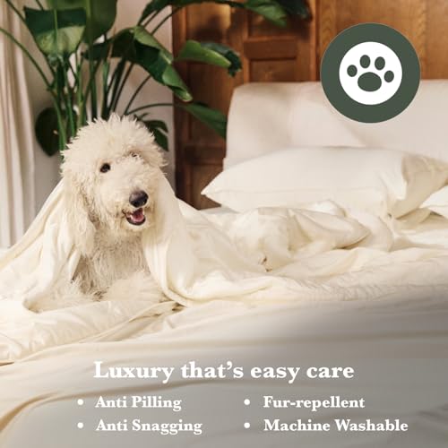 Bamboo Viscose Duvet Cover - Soft, Breathable, King Size, Olive Green