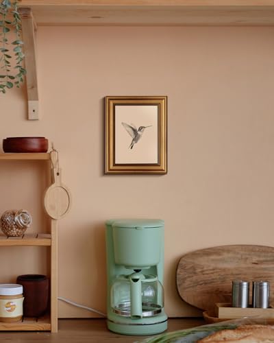 VIYYIEA Vintage Gold Framed Hummingbird Wall Art Sketch 8x10 Inch