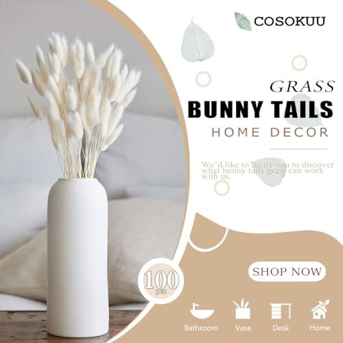 100pcs Dried Bunny Tail Grass Stems - 17 Inch Burnt Orange Boho Decor