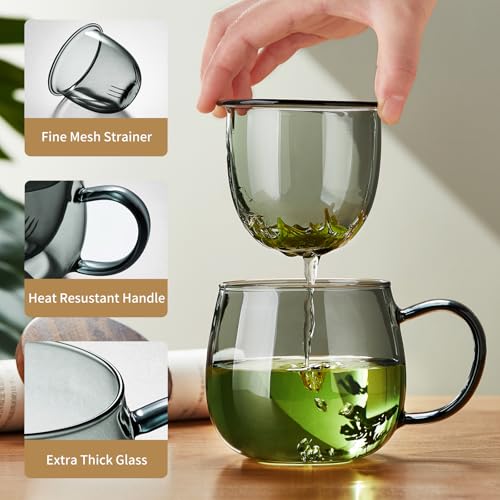 DOPUDO 17 oz Glass Teacup with Infuser and Lid, Borosilicate Tea Mug 500 ml