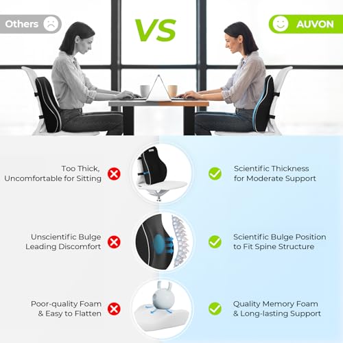 Ergonomic Lumbar Support Pillow for Office Chair - Memory Foam