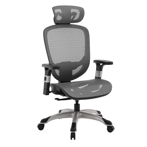 Ergonomic Mesh Office Chair with Lumbar Support and Adjustable Arms