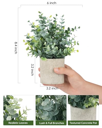 Small Artificial Eucalyptus Plants in Pots - Set of 2 Sage Green Decor