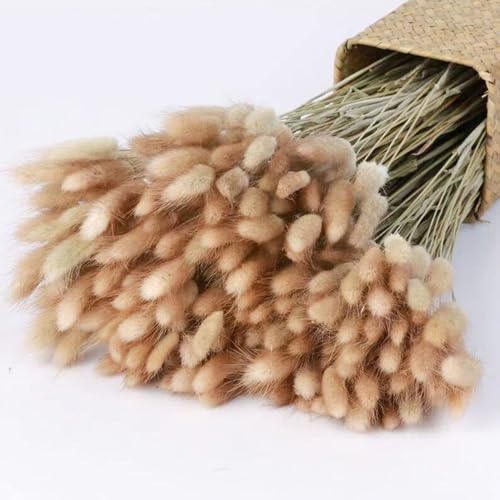 120pcs Dried Bunny Tails Grass 17-Inch Natural Pampas Floral Arrangement