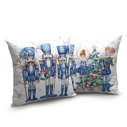 Wnoesat 22x22 Inch Chinoiserie Christmas Pillow Cover Set of 2 Double-Sided Blue Holiday Decor
