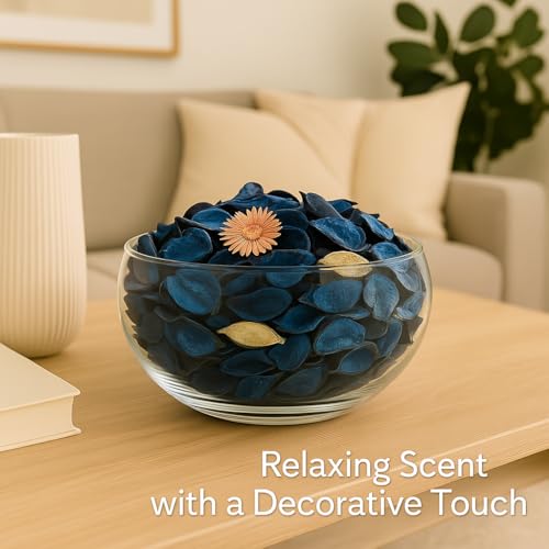 Ocean Scented Potpourri - 2 Pack Dried Botanical Blend for Home Decor