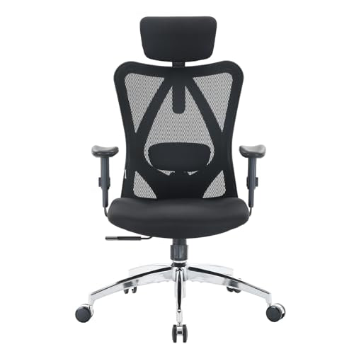 Ergonomic Mesh Office Chair with Headrest & Adjustable Lumbar Support