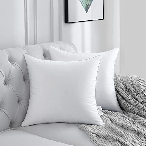 20x20 Square Pillow Inserts - Set of 2 Cotton Throw Pillow Cushions