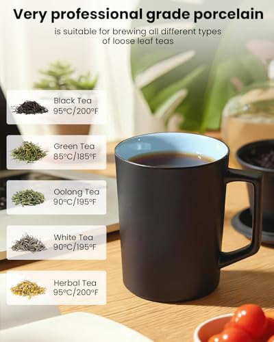 15 oz Ceramic Tea Mug with Lid & Porcelain Infuser - All Natural Filter, Microwave & Dishwasher Safe, BPA-Free, Black
