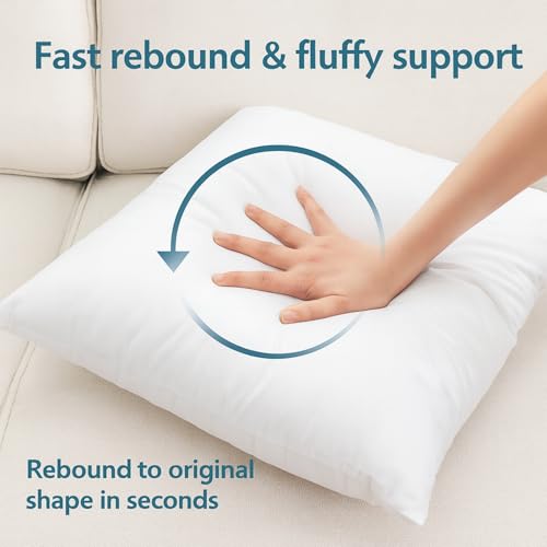 LANE LINEN 12x20 Throw Pillow Inserts Pack of 2 - Soft Lumbar Cushions