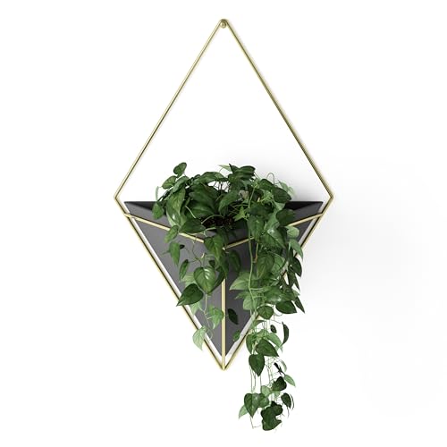 Umbra Trigg Hanging Planter Vase Wall Decor, Pot and Container for Succulents, Cactus, Faux Plants, and More, Large, Black/Brass