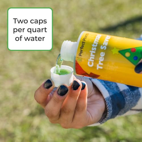 Christmas Tree Preservative Concentrate (8 oz) - Keeps Cut Firs Fresh