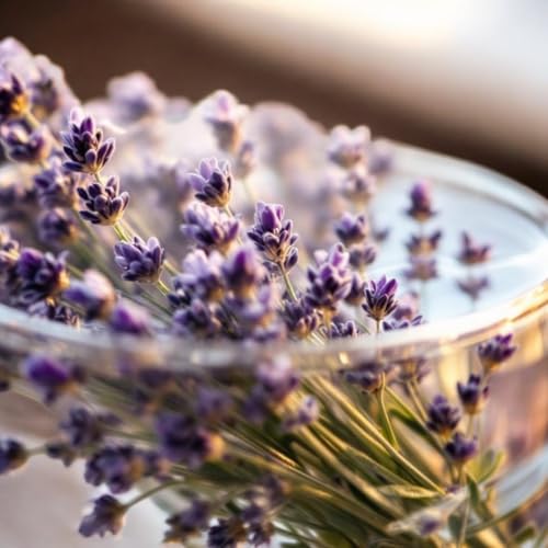 Simmering Potpourri Kit with Dried Citrus, Rose, Lavender & Spices
