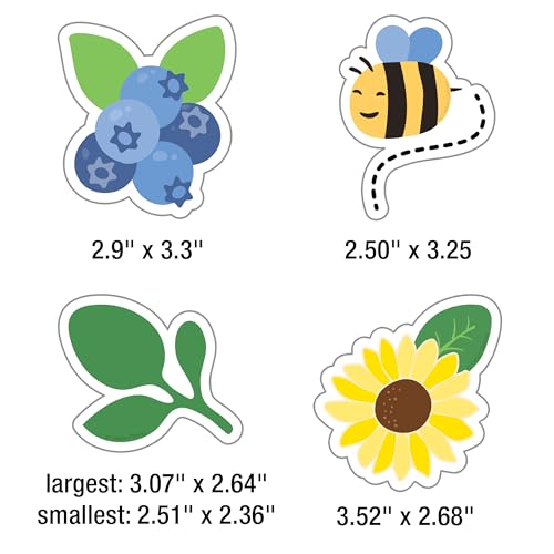 41pc Farmers Market Classroom Bulletin Board Set - Fruit Theme Decor