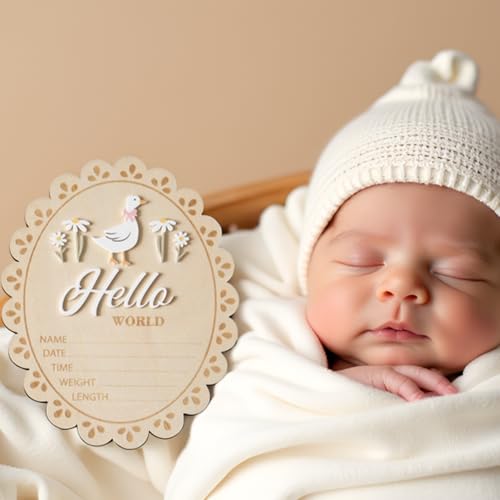 Double-Sided Wooden Baby Announcement Sign - Hello World Photo Prop