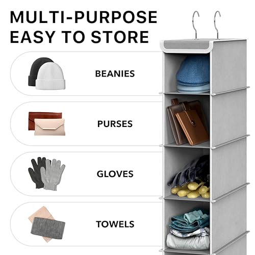 10-Shelf Hanging Shoe Organizer for Closet with Dual Metal Hooks