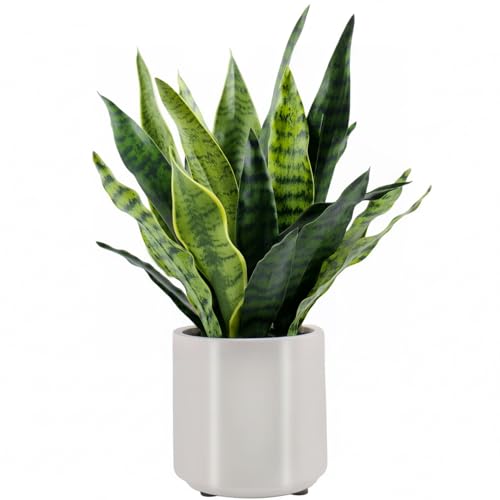 22" Tall Fake Snake Plant - Realistic Touch Leaves, Potted Decor