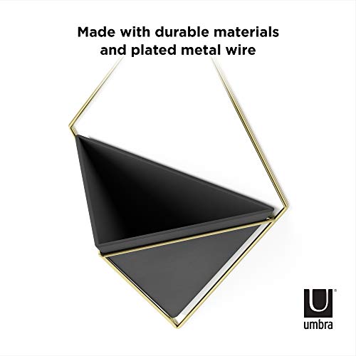 Umbra Trigg Hanging Planter Vase Wall Decor, Pot and Container for Succulents, Cactus, Faux Plants, and More, Large, Black/Brass