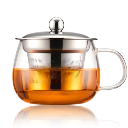 PARACITY 13 oz Glass Tea Mug with Infuser & Lid - Stovetop Safe, Fine Mesh Filter