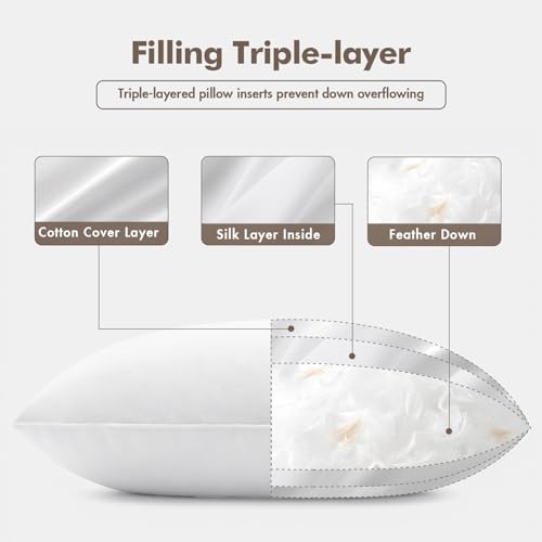 MIULEE 20x20 Feather Down Throw Pillow Inserts (Set of 2) - Cotton Cover