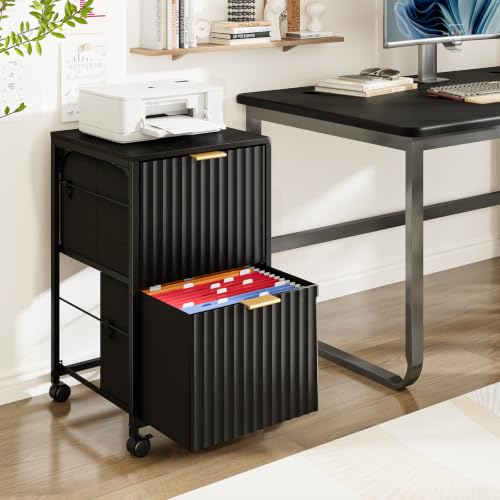 2-Drawer Mobile File Cabinet with Wheels for Under Desk Storage