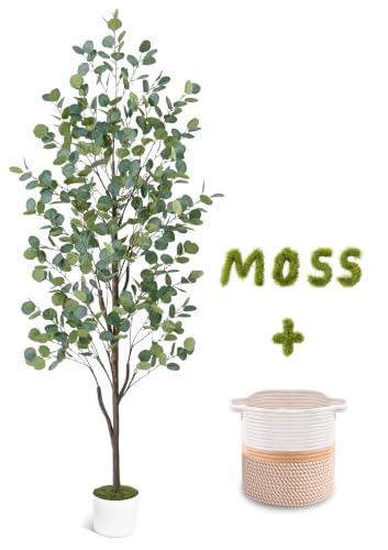 6FT Faux Eucalyptus Tree with Natural Wood Trunk & Planter