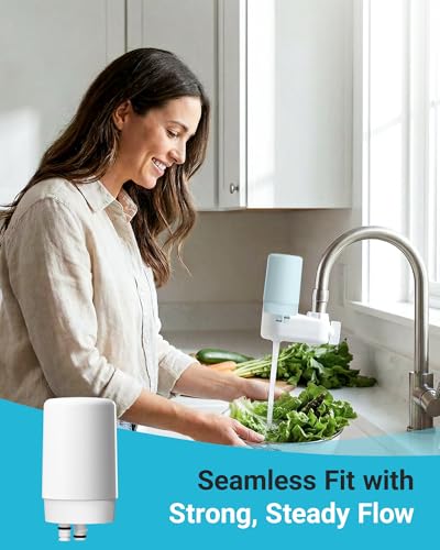 Faucet Water Filter Replacement Cartridges, 2-Pack - Model 7027W