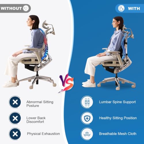 Ergonomic Lumbar Support Pillow for Office Chair & Car