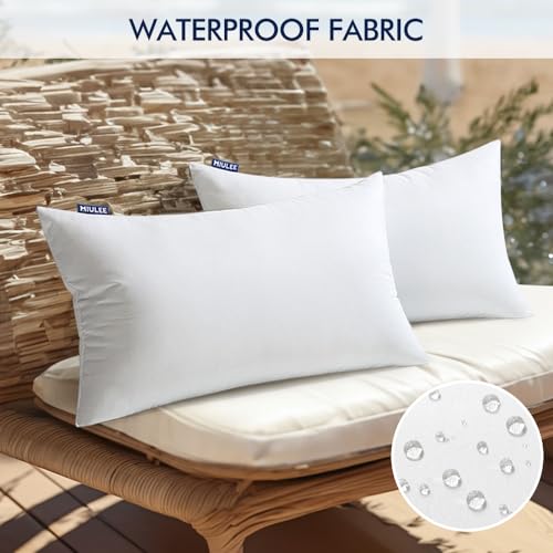 12x20 Inch Waterproof Outdoor Pillow Inserts, Set of 2