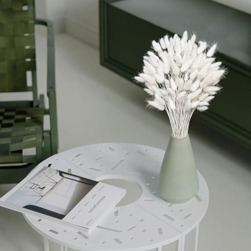 120 PCS 17-inch White Dried Pampas Grass for Boho Wedding & Home Decor