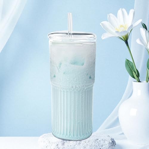 20oz Glass Tumbler Set with Lids and Straws - 2 Pack Borosilicate Cups