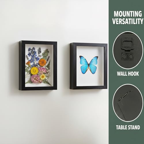 4x6 Shadow Box Display Case for Enamel Pins, Flowers, and Collectibles
