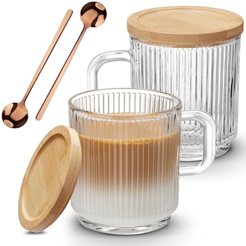 Mfacoy 2 Pack Glass Coffee Mugs with Handle & Spoon, 12 Oz Clear Drinkware Set with Bamboo Lids for Hot & Cold Beverages