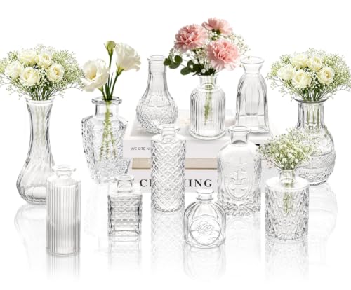 Clear Glass Bud Vase Set of 12 - Small Flower Vases for Table Centerpieces