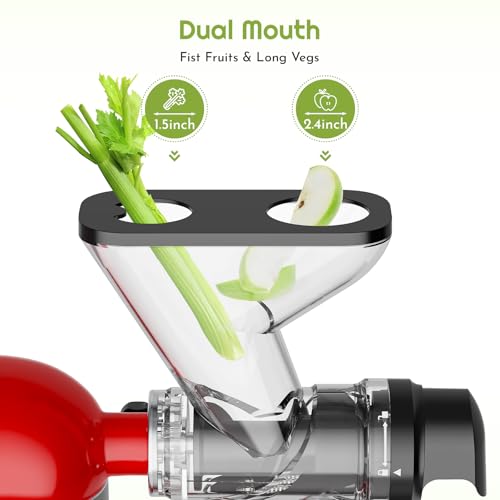 Juicer Attachment for Stand Mixers - Cold Press Fruit & Vegetable Extractor