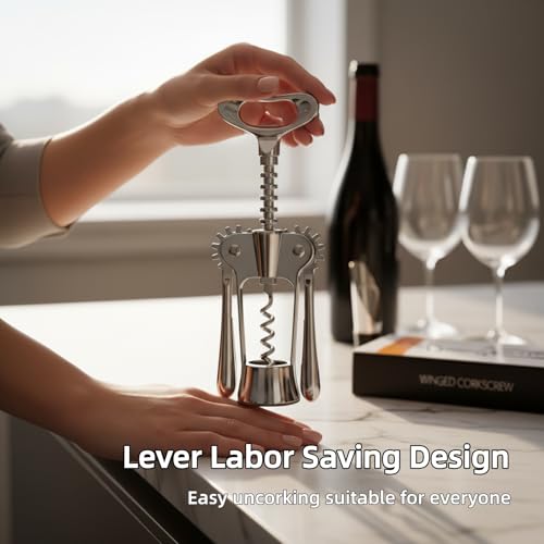 LunaThreads Silver 2-Pack Premium Zinc Alloy Lever Corkscrew Set with Wine Pourer & Vacuum Stopper
