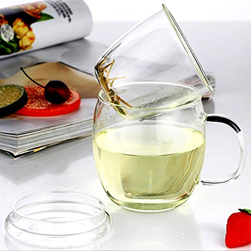 17 oz Glass Tea Cup with Infuser & Lid - Clear Loose Leaf Mug for Hot & Cold Beverages