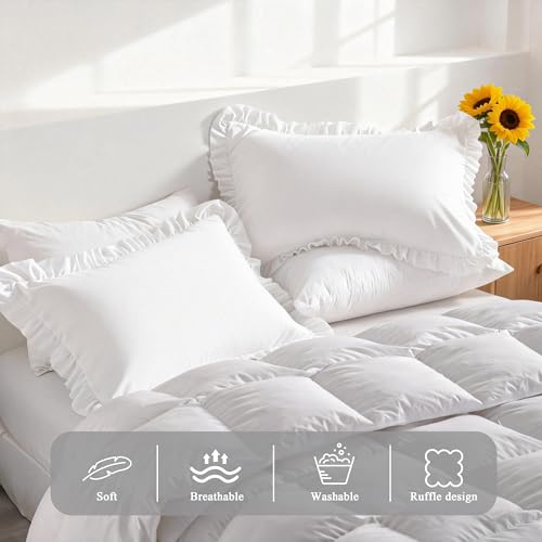 Ruffled Standard Pillow Shams, 2 Pack, 20x26 Inches, Soft Microfiber