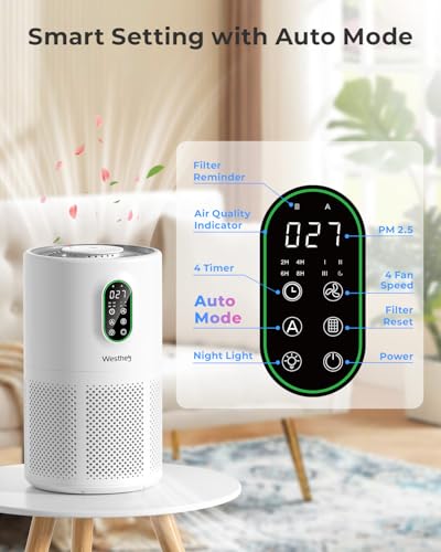 H13 HEPA Air Purifier for Home Large Rooms with PM2.5 Display and Auto Mode
