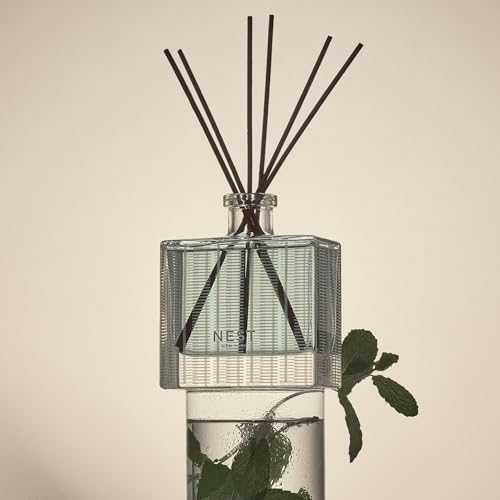 Wild Mint & Eucalyptus Reed Diffuser - 5.9 fl oz Home Fragrance Set