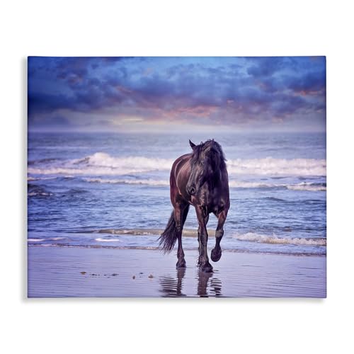 Stupell Industries Wild Horse on Beach Colorful Blue Sunset