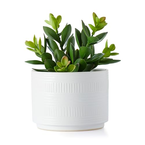 Artificial Succulent in White Ceramic Pot, 7.5-Inch Faux Plant Decor
