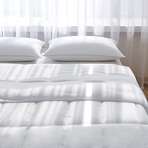 Queen Size Down Alternative Comforter Duvet Insert - 88"x88"
