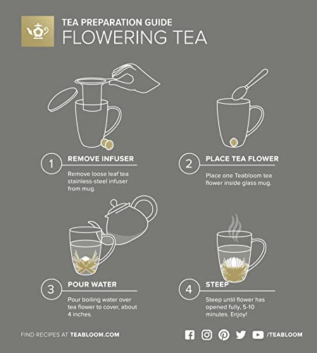 Teabloom 14.5 oz Stay-Hot Heatproof Glass Mug with Loose Tea Infuser & Lid – Blooming Tea Gift Set