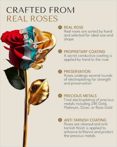 24K Gold Dipped Real Rose with Glass Vase and Gift Box