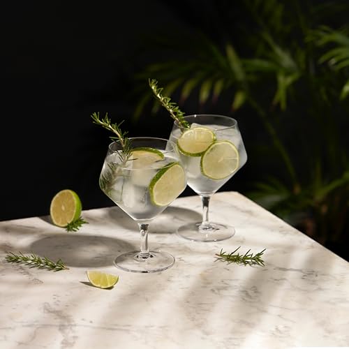 Viski Raye Set of 2 Angled Crystal Gin & Tonic Glasses 14oz - Premium Cocktailware