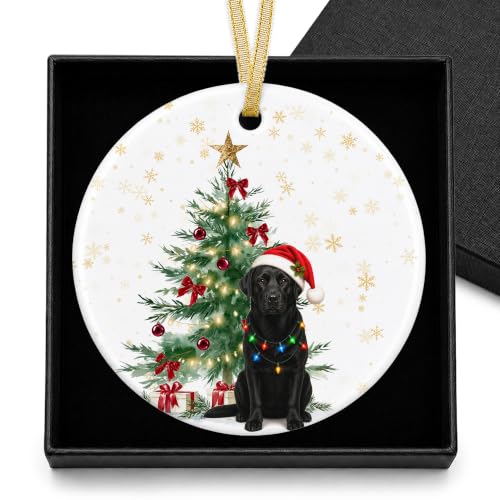 Black Lab Gifts Ceramic Christmas Ornament - Dog Ornament for Tree - Black Labrador