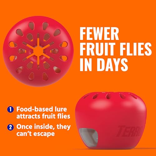 TERRO Fruit Fly Trap 4-Pack with 180-Day Lure Supply - Indoor Pest Control