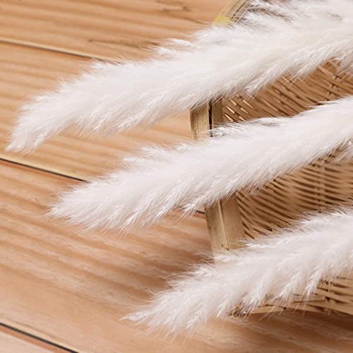 30 Pcs Natural Dried White Pampas Grass - 17 Inch Fluffy Floral Decor