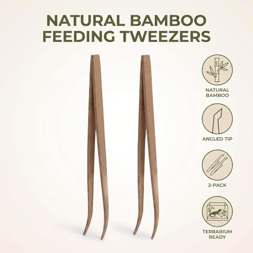 Mozff 2-Pack Wooden Reptile Feeding Tongs - 28cm Eco-Friendly Angled Tweezers for Reptiles & Amphibians